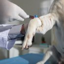 라온 동물 메디컬센터 이미지