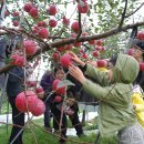 범어교회 이미지