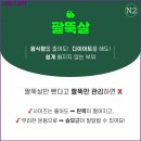 jj 에스테틱 네이버블로그