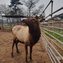 애자농장2 이미지