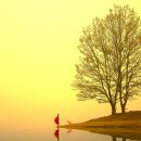 Morning Lake 이미지