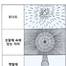 31장 개성과 자아 이미지