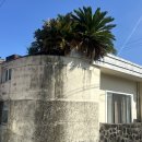 씨유 신창햇살점 | [제주/3일차] 한라산 후유증과 함께 하는, 🌱