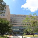 동북아행정사무소 이미지