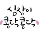 대우체육도장 이미지