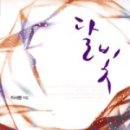 달빛가죽 네이버블로그