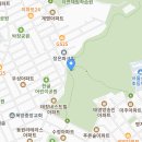 봉제산 둘레길의 들머리 까치산 산책길 이미지