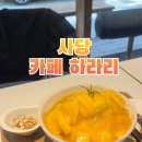 카페;하라리 이미지