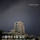쏭앤쏭보배반점 | [대학생 일상] 돌아보니 소중했던 일상_웃는 자가 일류다. 꽃이 지고 나니 봄인 줄 알았소