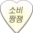 쑥스초코파이
