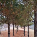 강당말공원 이미지