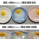뉴터 이미지