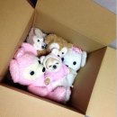 (주)케이에프씨코리아 KFC 광주충장로 | 헤이헤이