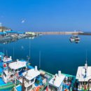 저도 대문어축제 이미지