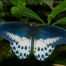 창조행정사 이미지