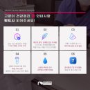 문현동물병원 | 부산 다솜 고양이메디컬센터 고양이건강검진 내돈내산 가격