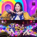 별따러가자 이미지