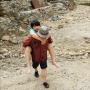 강양녀농장 | 529호 구르는 굼벵이