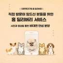 현풍동물병원 | 현풍말티즈분양, 진짜 제대로 선택하는 기준은 따로 있습니다