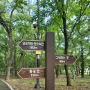 자인계정숲(씨름장) 이미지