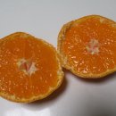 아달달농산 이미지