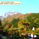 백양사 - 논산시 중앙로492번길 3-1 | 백양사