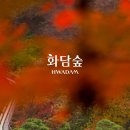 10월16일(수) 12시 🍂단풍의 성지 🍁 '화담숲' 🍁 가을의 햇살 좋은 날 함께 걸어요🍂 이미지