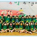 달리풀 이미지
