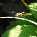 우리회관 이미지