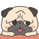 노아동물병원 이미지