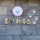 남문토방 애견동반 펜션 | 토리하우스 직접 다녀온 듯한 편안한 분위기