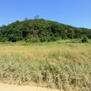 화성이레부동산중개 이미지