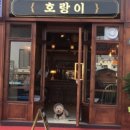 호랑이광장