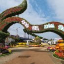 26 Oct. 2025 대추는 달콤, 보은은 웰컴 ! 2025 보은 대추축제 이미지