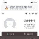 둘하나