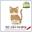 페트로 동물병원 이미지