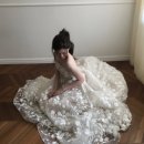 디유앤코 | 11] 베리굿웨딩 드레스 제휴 가격 비교 (레이앤코, 디유드라포엠, 루이즈블랑, 브라이드손윤희 투어vs...