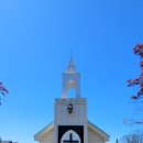 리빙워터(Living water) 이미지