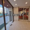 세광빌딩 앞 이미지