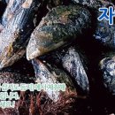 고잠2길 2 이미지