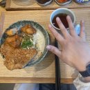 메가혼밥다산점 | 👉 다산역 규동 맛집? ‘동경규동 다산역점’ 솔직 후기 (냉모밀·돈가츠 정식 포함)