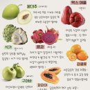 5월초 대만 타이베이 3박5일 직장인 커플 여행