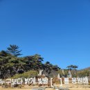 김천여행코스 한옥분위기 사명대사공원 건강문화원 후기