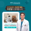 바른 정 동물병원 이미지