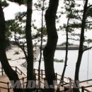 예래동 하예 포구 미디어제주
