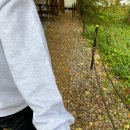 스타스테이 이미지