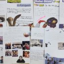 나만의 영자신문 만들기 이미지