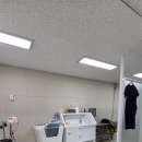 몽몽이털 이미지