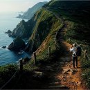 (40년15차)여수-금오도 비렁길 동백꽃 산행(3월15일) 이미지