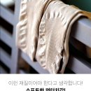 와글리 네이버블로그